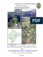 La Deforestación en La Region Loreto