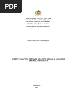 Relato de Caso - Heloisa Molgaro