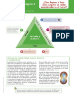 Biologia 2 Modulo 2