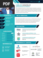 Curriculum Vitae