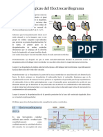 Clase 4 Fisiologia