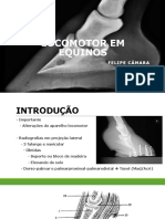 Locomotor em Equinos Veterinaria PDF