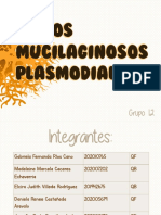 Mohos Mucilaginosos Plasmodiales