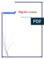 Digestive System