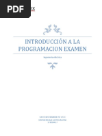 Examen de Introduccion A La Programacion