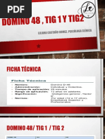 Domino 48, Tig 1 y Tig2 2020-2