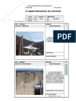 Modelo Ficha Caracterizacion Lesiones