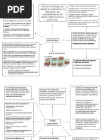 Tipos de Tejido Epitelial