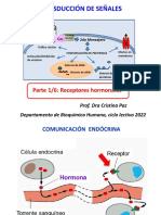 Teórico - Transducción de Señales - Presentación - 2022