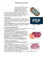 8 Resumo Sobre Organelas