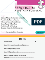 Practica 13 Homeostasia Corporal