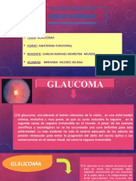 Vacunas Glaucoma