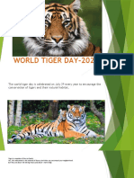 World Tiger Day