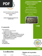 Informe de Practica 03