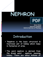 Nephron 200328105815