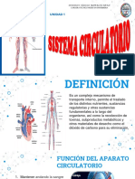 Aparato Circulatorio-22
