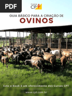 E Book Guia Basico para A Criacao de Ovinos