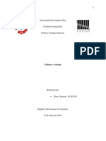 Ensayo de Teoria Cultura y Vivienda