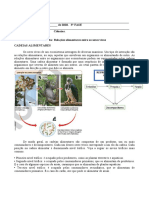 Relações Alimentares Entre Os Seres Vivos