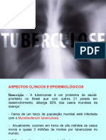 1 Tuberculose Introdução