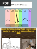 1 Principios de Ekg