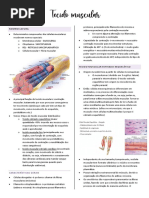 Tecido Muscular