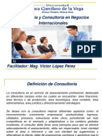 Asesoria y Consultoria en Negocios Internacionales