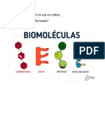 Biomoléculas