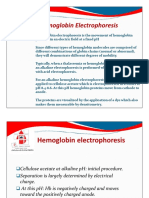 Electrophoresis 2