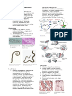 PARASITOLOGY REVIEW MATERIALS Notes