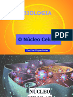 Núcleo Celular e Cromossomos