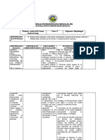 Mapudungun 4°