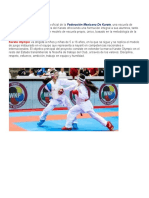 Karate Olympic: Presentación