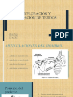 Exploración y Palpación de Tejidos