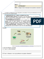 Atividade 7 Ciencias Da Natureza Tema Cadeias e Teias Alimentares Simples 4o Ano 1