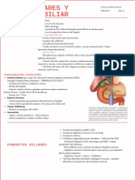 Colecistitis - Vesícula