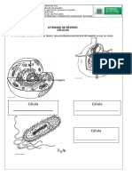 31 - 05 - Atividade Biologia Eja 1 Fase