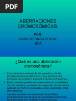 Aberracionescromosmicas 100426141910 Phpapp01