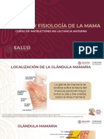 Anatomía y Fisiología de La Mama