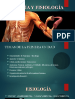 Anatomia