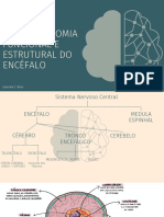 Neuroanatomia Funcional e Estrutural