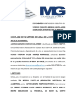 Solicito Medida Cautelar de Asignación Anticipada de Alimentos - Alzamora