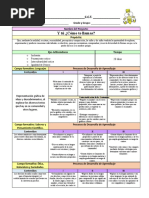 Formato Plano Didactico-1