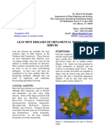 LEAFSPOTDISEASESOFORNAMENTALTREESANDSHRUBS100212 RPDF