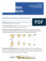 Generalidades de Anatomía para El Paciente Edéntulo