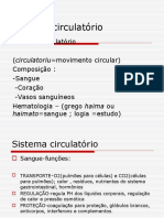 Sistema Circulatório Teams