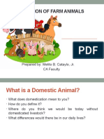 Domestication of Farm Animals