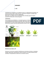 Deficiencias de Cannabis