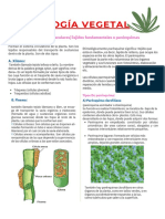 Tema 1-Histología Vegetal