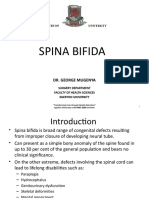 Spina Bifida